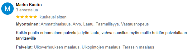 Loistepinta Google arvostelu 1
