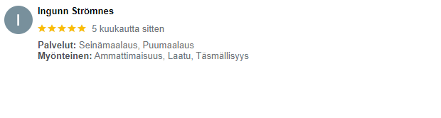 Loistepinta Google arvostelu 6