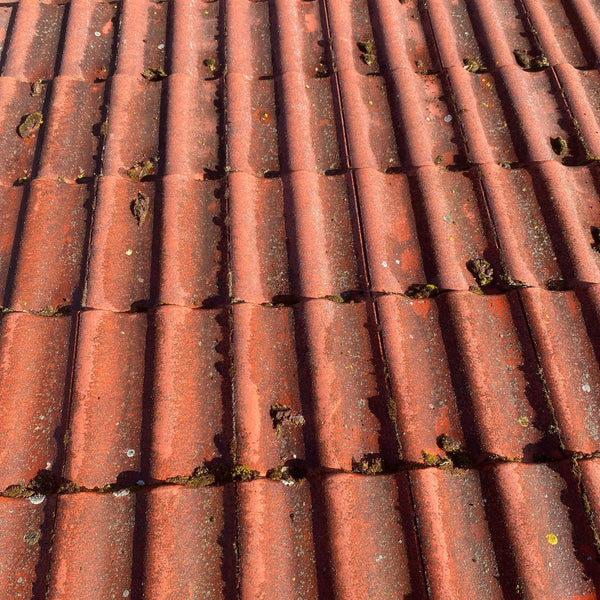 tiilikaton painepesu